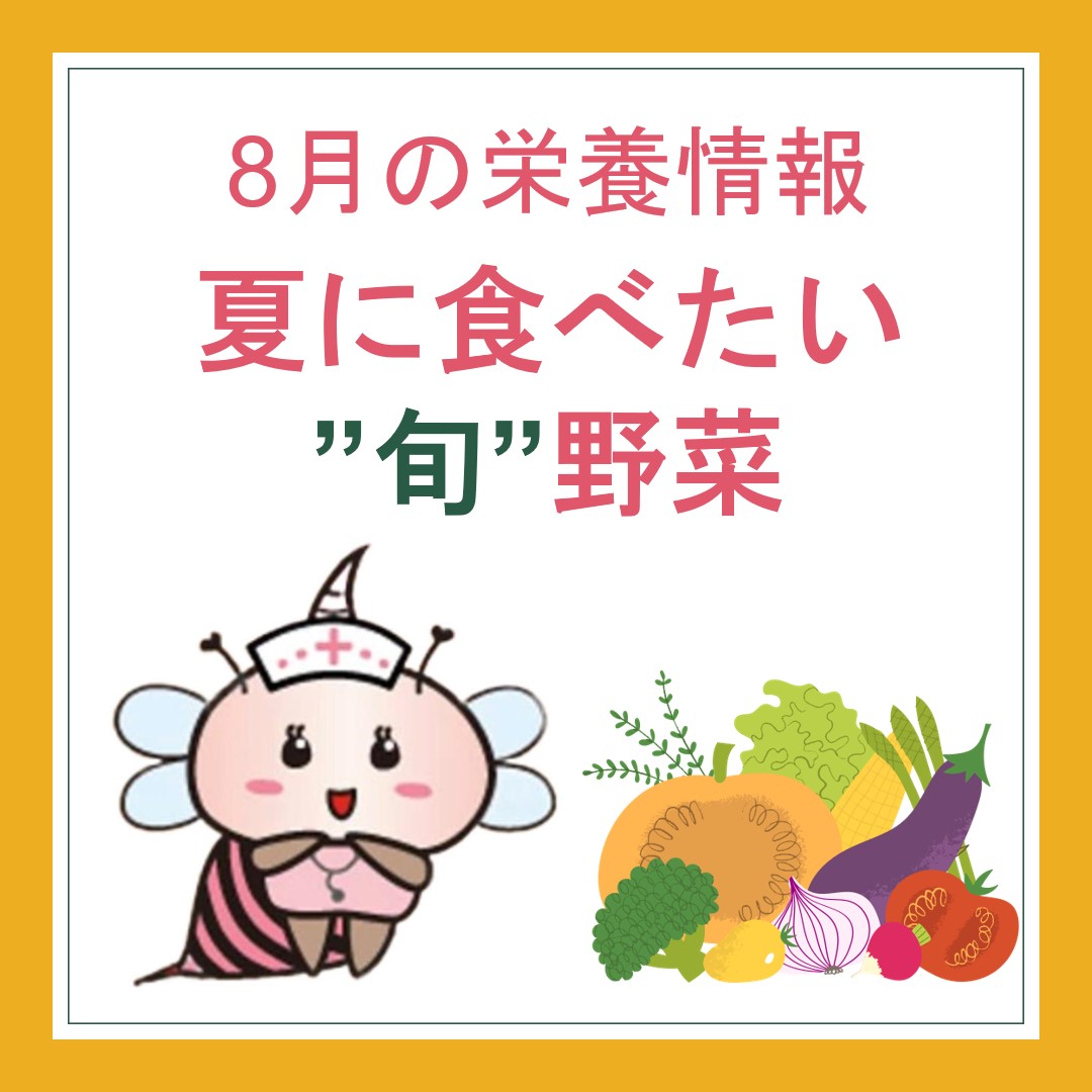 8月の栄養情報|夏に食べたい旬の野菜